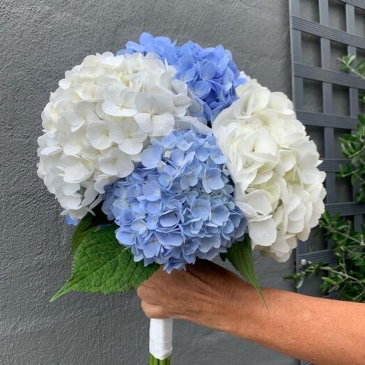 Brides bouquet of mixed hydrangeas