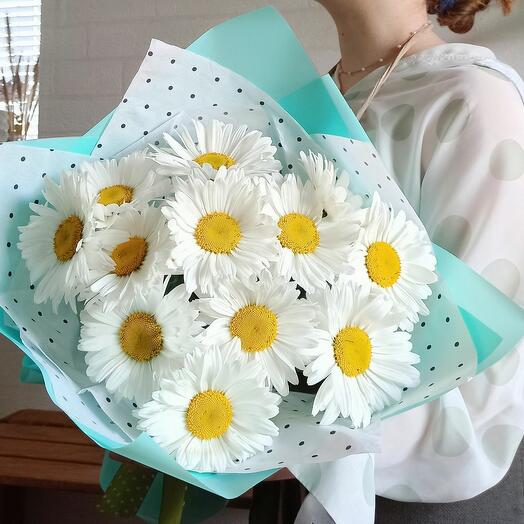 Яркие летние ромашки