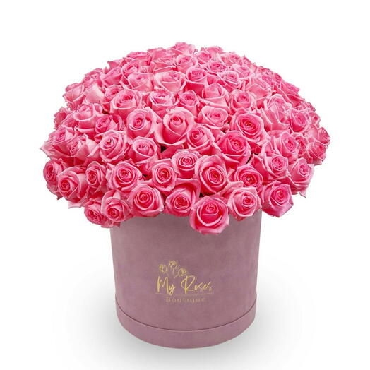 Lilac Velvet Box With 200 Pink Roses