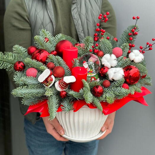 NOBLIS   ILEX IN A POT