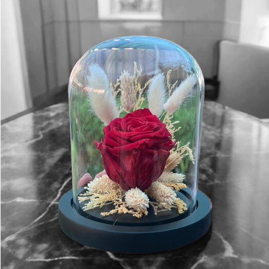 Infinite Bloom- Timeless Preserved Red Rose in Glass Dome – Lasting Beauty