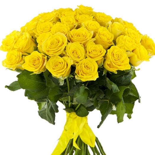 101 yellow rose