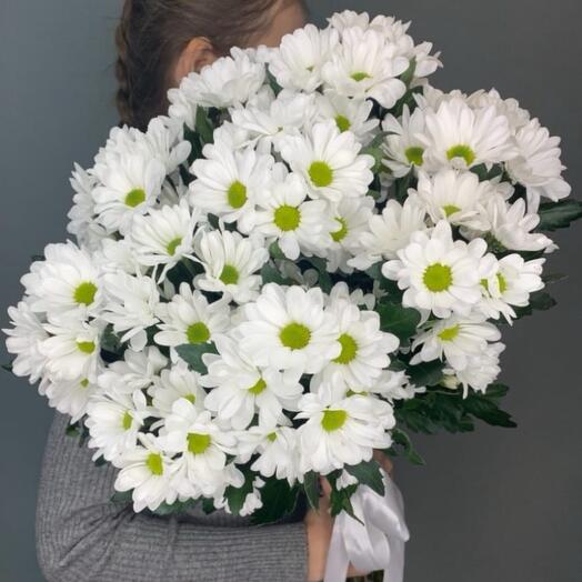 Ромашки 🌼