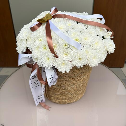 Капшо из хризантем M