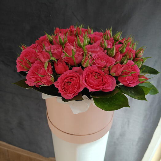 ROYAL ROSE🌹🌹🌹