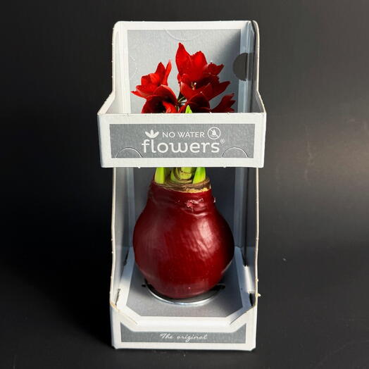 Flolefor