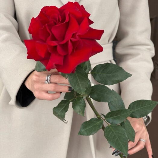 Flower4you