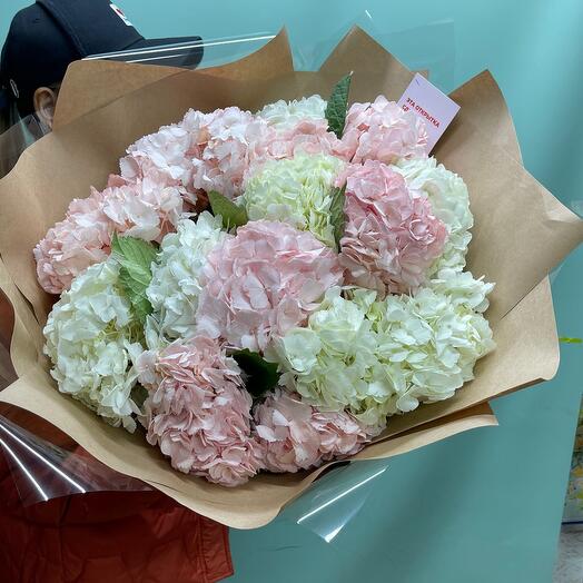 Hydrangea 15pcs