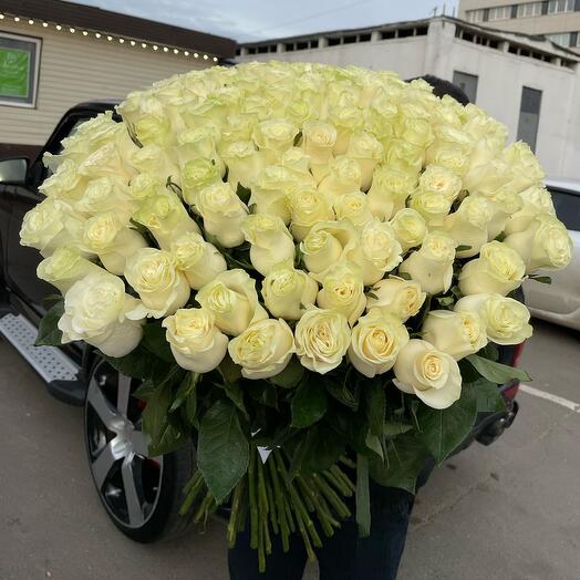 Букет из белых Эквадорских роз Проуд 101 шт
