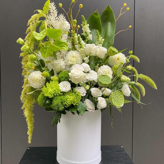 Elegancka Harmonia Ogrodowa