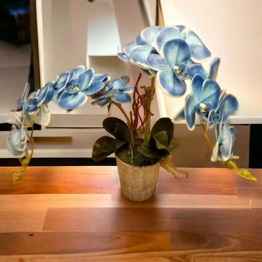 Artificial blue orchid