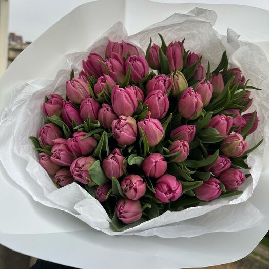 Tulips pinky 45 stems