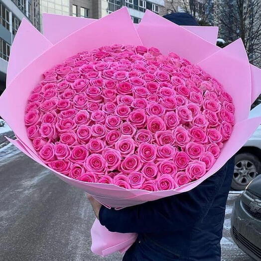 151 pink roses