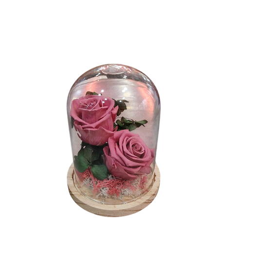 Rosa Eterna en Campana Cristal