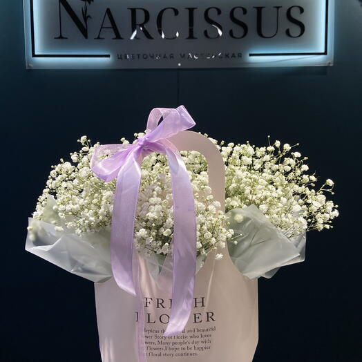 NARCISSUS