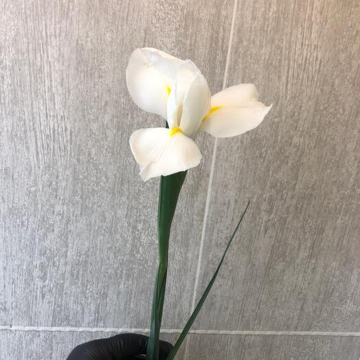 Студия цветов Floksi