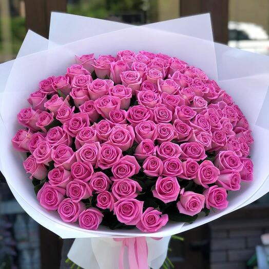 101 Pink Rose