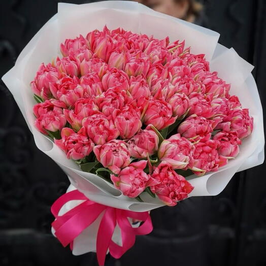 50 pink tulips