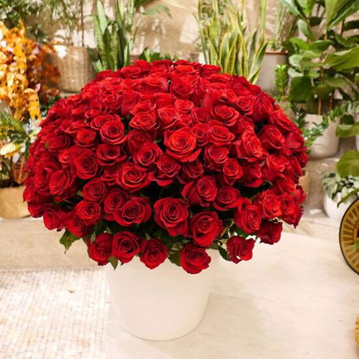 Romantic Red Symphony: 101 Red Roses in a Beautiful Box