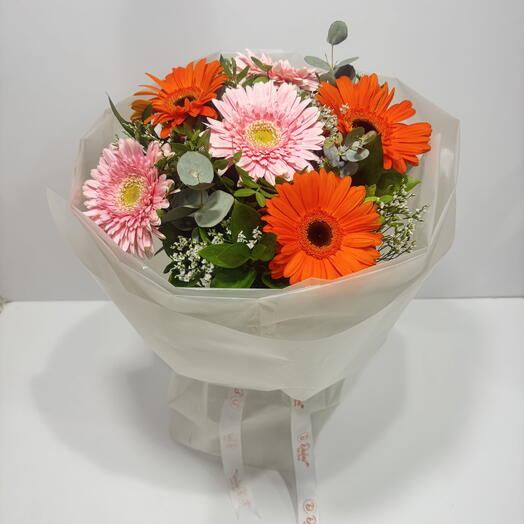 Pink and Orange Gerbera