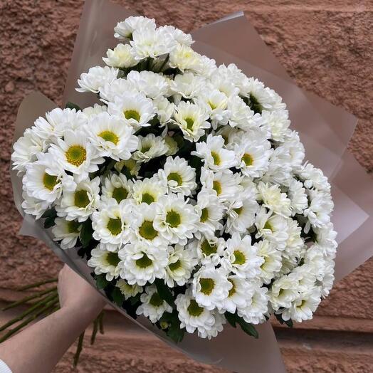Букет из 15 кустовых хризантем ( ромашек) в матовой упаковке
