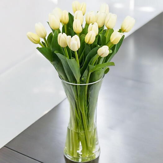 20 White Tulips