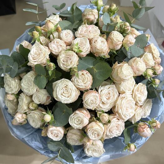 Róże krzewiaste różowe