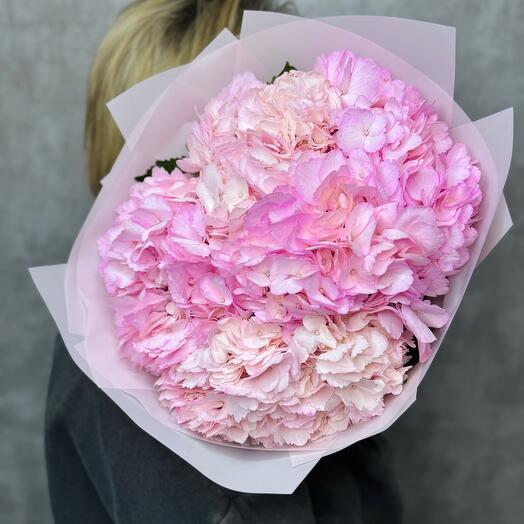 5 пышных розовых гортензий для нее 💕♥️🌸💓на День рождение