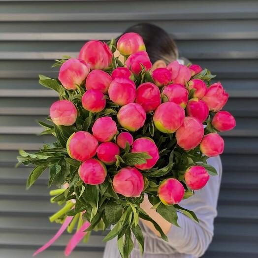 Коралловые пиончики