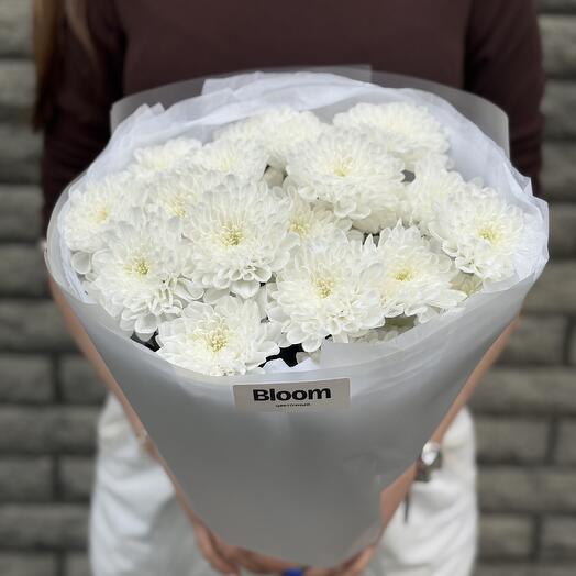 Bloom
