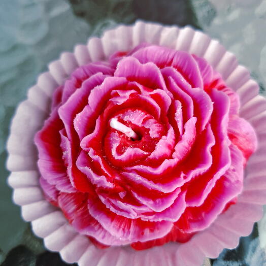 Red Rosalie
