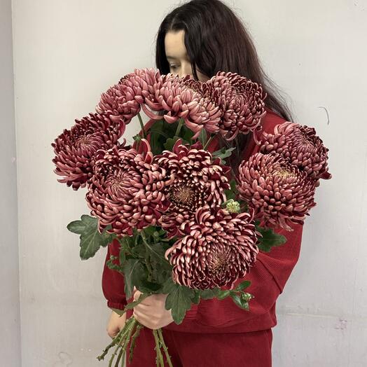 Цветы на Шлиссельбургском 