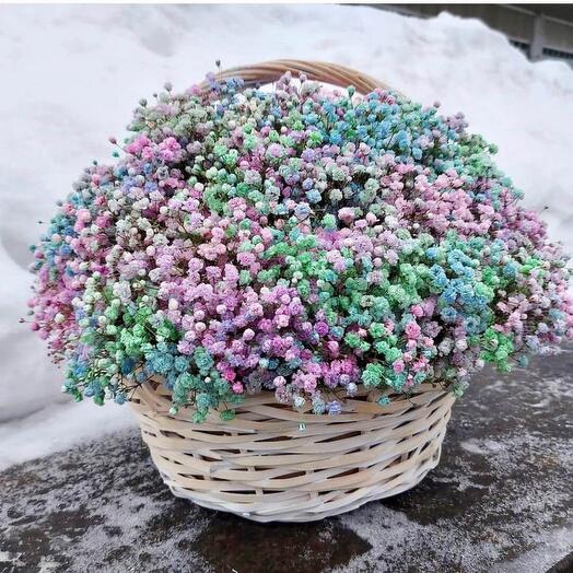 Rainbow Gypsophila Basket