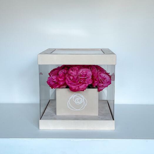 Pink Roses Display Case Beige Box