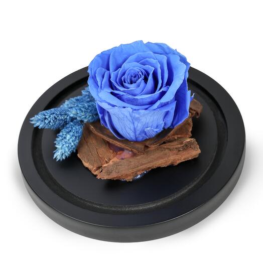 Forever Rose – Blue Large