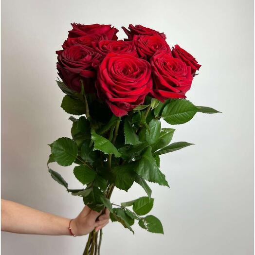 Bouquet of 9 red roses