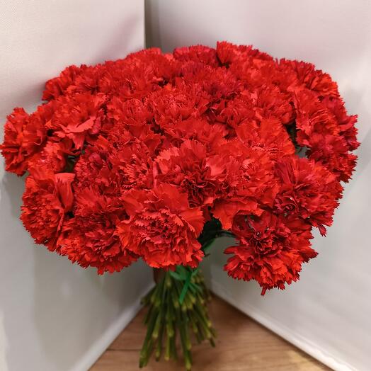 Гвоздика красная Голландия  60 штук
