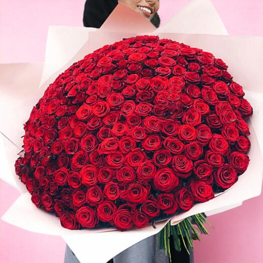 Opulent Romance: 601 Red Roses Bouquet