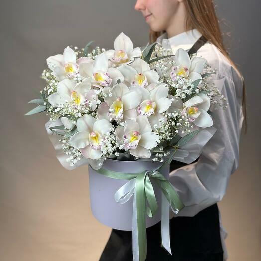 Luxurious Orchid-5784