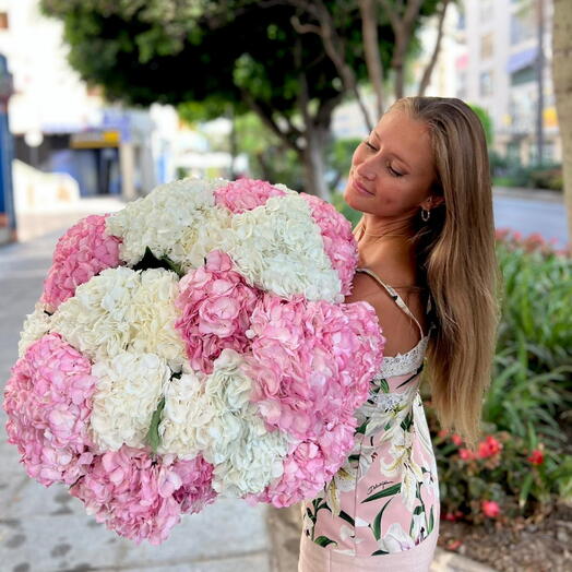 Ramo de hortensia blanca y rosa 20