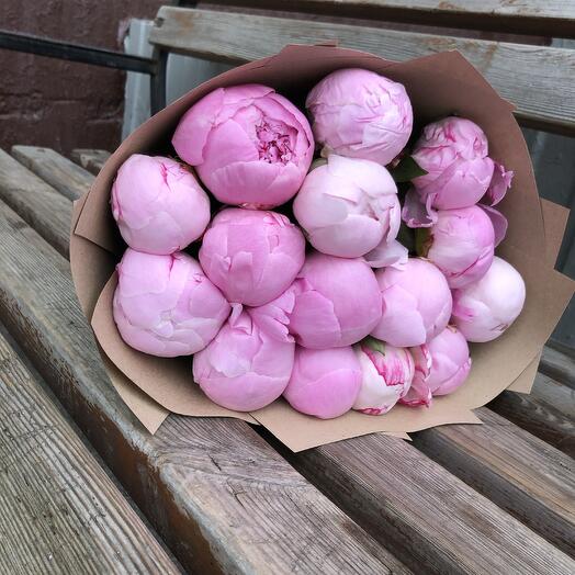 Пионы  розовые Сара Бернар 15шт