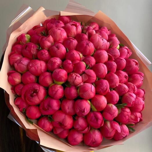 101 Коралловый пион Luxury Flowers 🌺