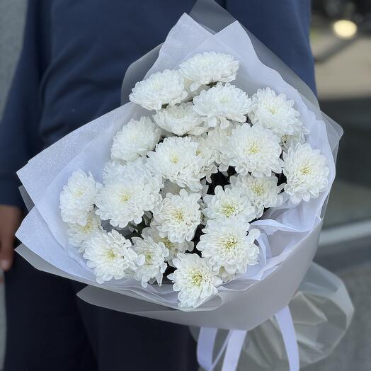 Кустовая хризантема Алтай 5