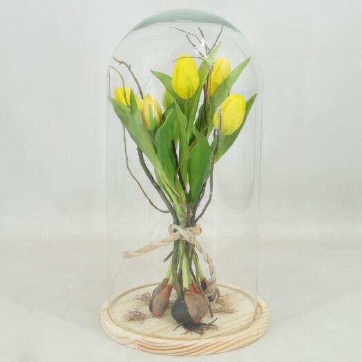 Cupula Tulipanes Amelie