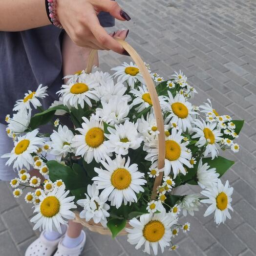 Корзина с ромашками