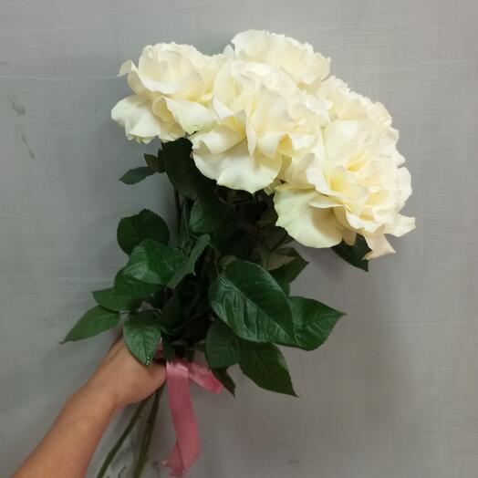 Lucky Flowers 