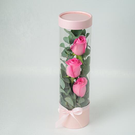 Light Pink Rose Fuse