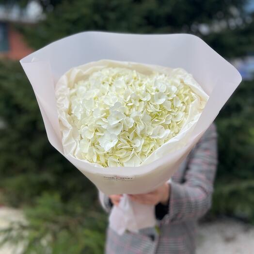 Ramo de hortensias blancas