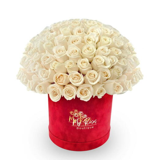 Red Velvet Box With 200 white Roses