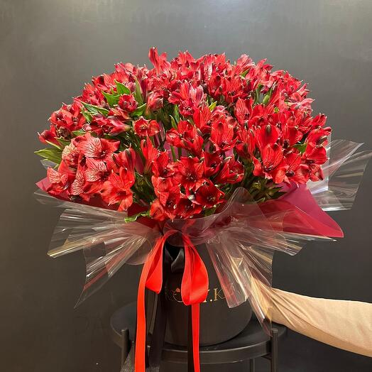 Моно композиция альстромерии